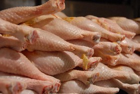  ظرفیت تولید مرغ بدون مصرف آنتی بیوتیک در خراسان رضوی افزایش یافت