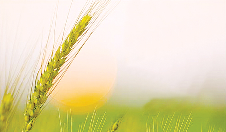 امنیت جامعه قبل از ظهور حضرت حجت (عج)