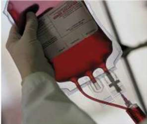 تجلیل از جوانان اهداکننده مستمر خون