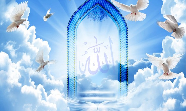 خدا به اینها با رحمت نگاه می کند