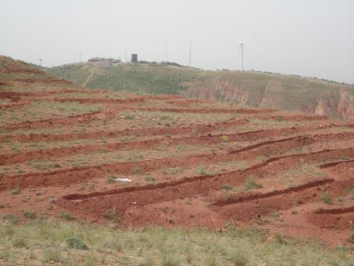 آغاز طرح جنگلکاری ۱۰۰ هکتاری در کوهستان عینالی تبریز