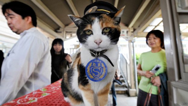 مراسم ختم برای گربه ای که رئیس ایستگاه قطار بود!+تصاویر