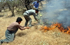 آتش سوزی ۳۵۰ هکتار مرتع و جنگل در کردستان