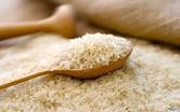 افزایش ۱۰۰ هزار تنی تولید برنج/ سطح زیرکشت ۴۰ درصد کاهش یافت