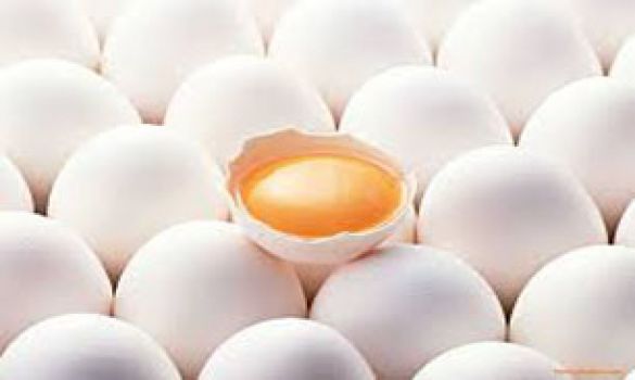 روزانه ۱۰۰ تن تخم مرغ از خراسان‌رضوی صادر می‌شود