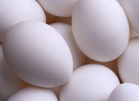رشد ۷۳ درصدی صادرات تخم‌مرغ از قزوین