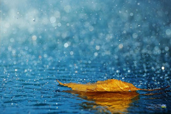 حجم بارش های کشور به ۱۰ میلی متر رسید/ افزایش ۴۳ درصد بارش ها نسبت به متوسط درازمدت