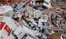 کشف ۲۵۴ هزار نخ سیگار خارجی قاچاق در عجب‌شیر