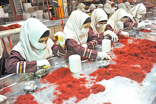 ترکیب ناهمگون فرصت‌های کاری زنان و مردان