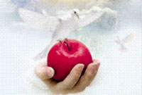 عملی که هیچ احدی اجر آن را در آخرت نمی داند!