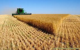 نرخ خرید محصولات کشاورزی قبل از شروع سال زراعی اعلام شود