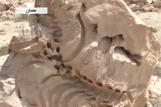 انتقال فسیل‌های 65 میلیون ساله به موزه تربت حیدریه 