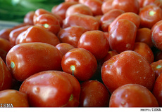 کاهش قیمت گوجه فرنگی و توت فرنگی طی هفته گذشته