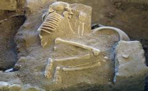 اگر هزار سال عمر کنید، پایان کار چیست؟