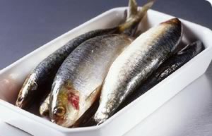 افزایش قیمت ماهی قزل‌آلا در خراسان‌رضوی/کاهش صید ماهی به علت رکود بازار