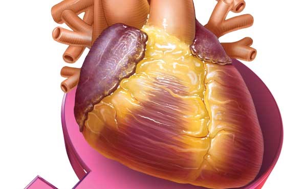 زنان در تیررس بیماری‌های قلبی