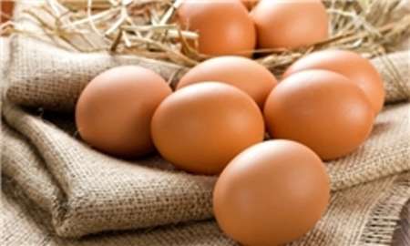 افزایش تقاضا دلیل اصلی گرانی تخم مرغ