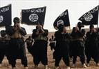  ۵ هزار ترویست داعش آزادانه در اروپا تردد می‌کنند