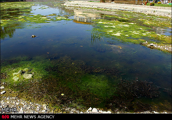 ضرب‌العجل دادستان شیراز برای رفع آلودگی رودخانه چنار راهدار