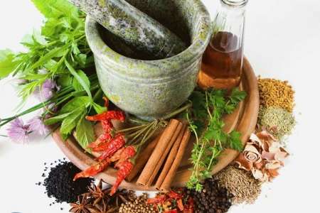 گیاهان دارویی،ثروت پنهان خراسان جنوبی