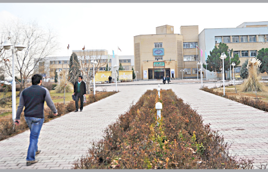   درس خـوانده هـای بیـکار!