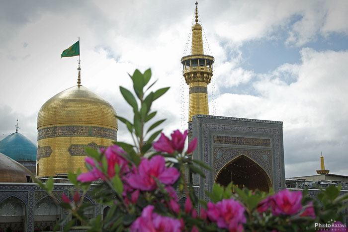 از کجا معلوم علی بن موسی الرضا، امام هشتم است؟