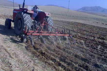 اجرای طرح تدوین برنامه‌ استراتژیک در هزار هکتار از اراضی کشاورزی همدان 