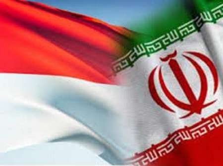 رشد 25 درصدی صادرات غیرنفتی ایران به اندونزی 