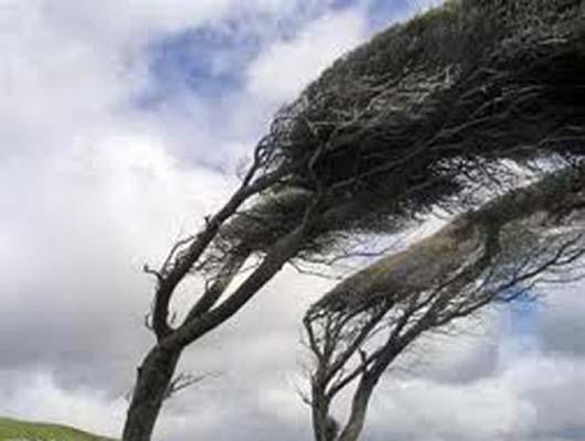 تند باد با سرعت ۵۵ کیلومتر بر ساعت همدان را در نوردید. 