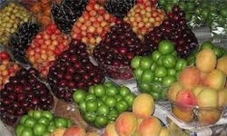 راه‌اندازی شبکه توزیع میوه‌های قاچاق/ قاچاق میوه توسط تعدادی اندک انجام می‌شود