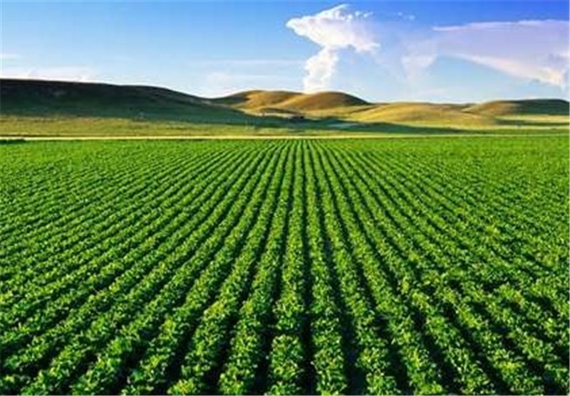  همکاری‌های دو جانبه دانمارک و استان زنجان در بخش کشاورزی 