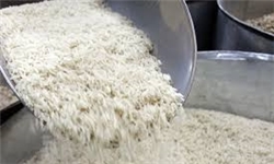برنج‌های آلوده در تهران کشف نشده است/ بیش از ۲ هزار پرونده قاچاق کالا تشکیل شده است