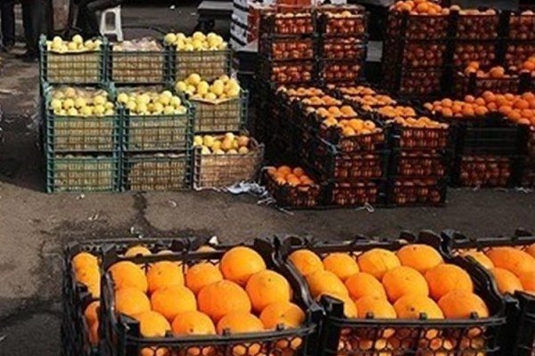قیمت پرتقال، سیب و موز نسبت به قبل از تعطیلات کاهش یافته است