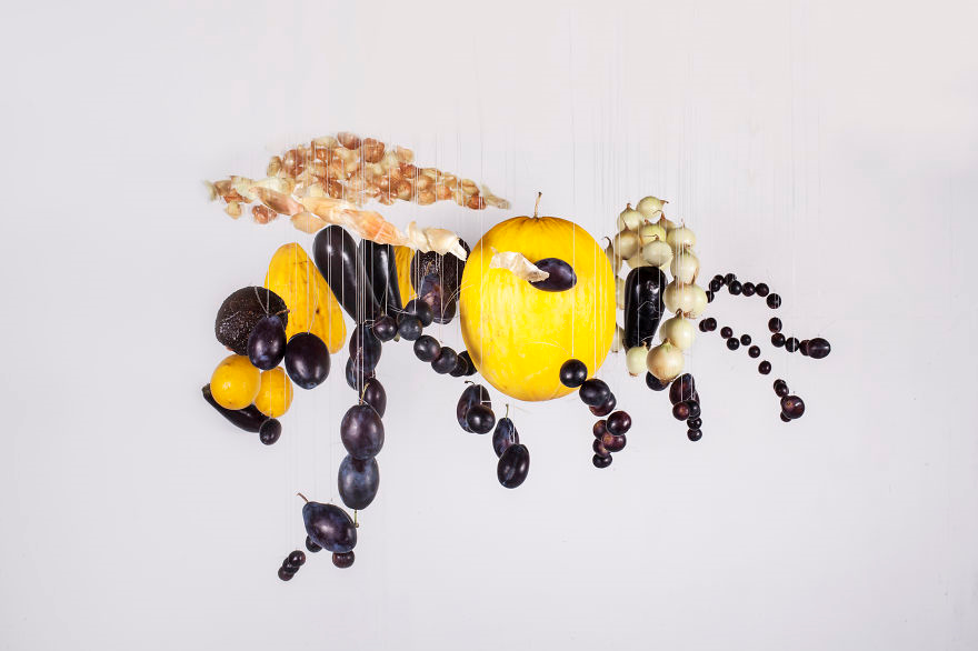 زنبور میوه ای+تصاویر