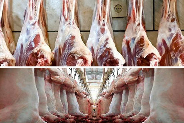 کاهش ۱۰۰۰ تومانی قیمت گوشت گوسفندی در بازار 