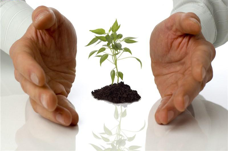 چگونه رزق و روزی خود را افزایش دهیم؟