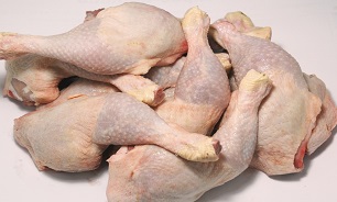 قیمت مرغ افزایش می یابد 