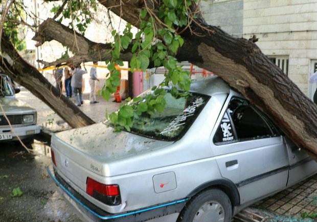 وزش باد و بارندگی ۲۷ حادثه برای شهروندان مشهدی به وجود آورد
