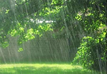  رئیس سازمان هواشناسی كشور: بارش ها تا یك ماه آینده ادامه دارد