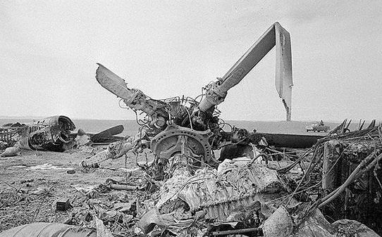 گریه کدخدا در  «کاخ سفید» 