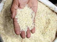 چرا برنج پاکستان با تعرفه صد تومان و سیب ایران با تعرفه هزار تومانی صادر می‌شود