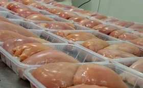 قیمت گوشت مرغ در بازار خراسان رضوی کاهش می‌یابد