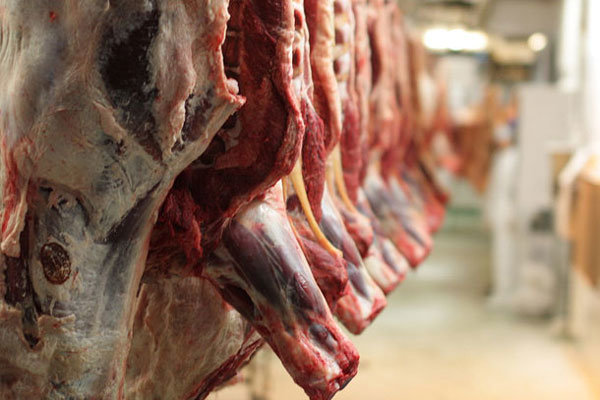 رسیدگی به پرونده حمل یک و نیم تن گوشت گوسفندی بدون مجوز  