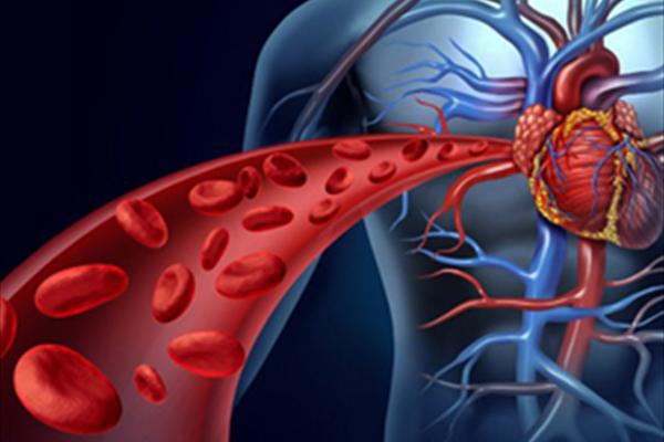 نشانه های بالا رفتن غلظت سرب در خون