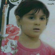 واکنش رئیس شورای شهر تهران به مرگ کودک ۵ ساله در آبنمای پارک