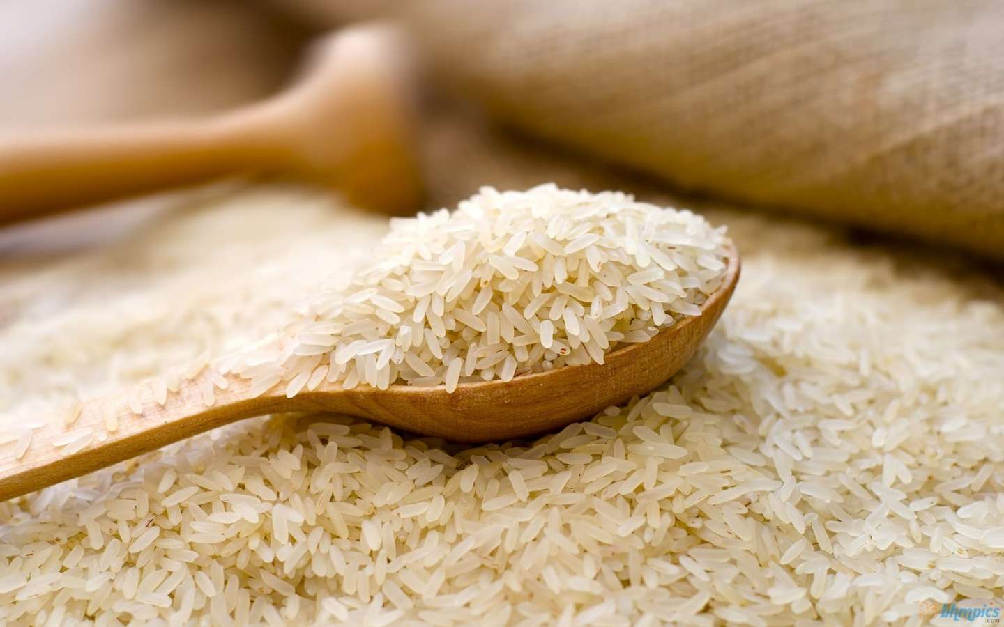 قیمت برنج افرایش پیدا می کند؟