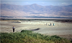 کاشت گونه‌های گیاهی بومی در حاشیه دریاچه ارومیه