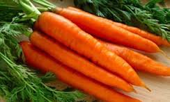 قیمت هویج به کمتر از ۱۰ هزار تومان می رسد/ افزایش قیمت هندوانه مقطعی است