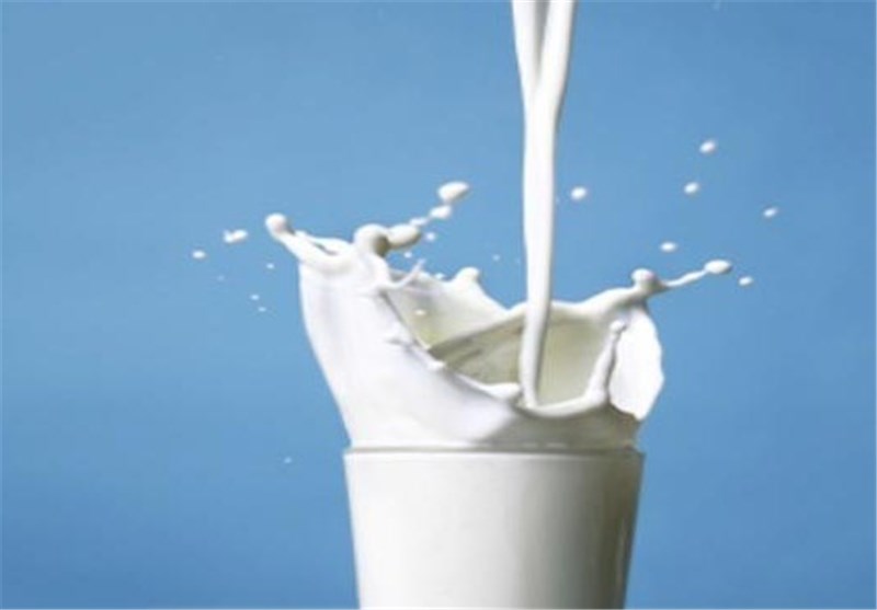 تولید سالانه ۸۱ هزار تن شیر در ایلام  