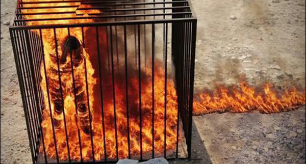 داعش ۱۹ دختر کُرد را در موصل عراق زنده سوزاند    